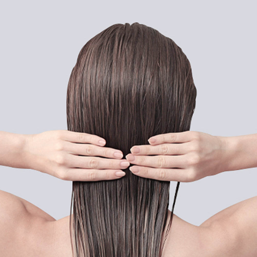 Pyunkang Yul Hair & Body Travel Kit